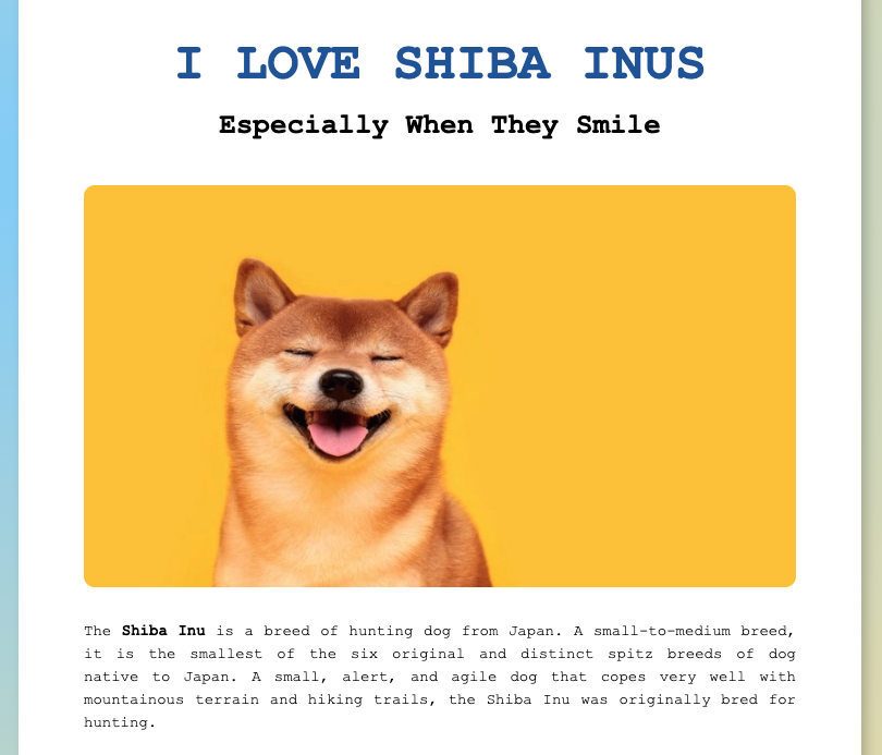 Shiba Inu Project Preview